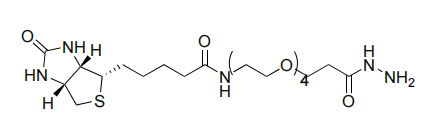 Biotin-PEG4-Hydrazide