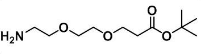 H2N-PEG2-CH2CH2COOtBu