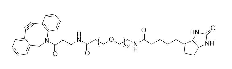 Biotin- PEG12-DBCO