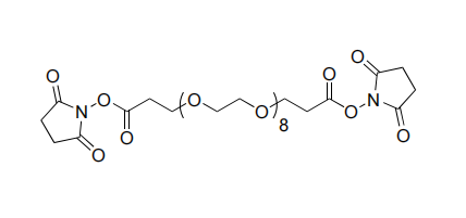 Bis- PEG9-NHS ester