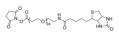 (+)-BIOTIN-PEG24-NHS ESTER