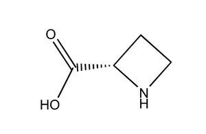 (R)-Azetidine-2-carboxylic acid 