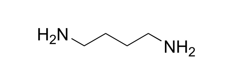 1,4-DIAMINOBUTANE