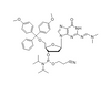 DMT-dG(dmf)-CE-Phosphoramidite