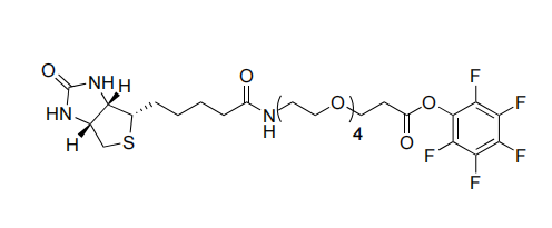 Biotin- PEG4-PFP ester