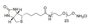 Biotin- PEG-oxyamine. HCl