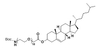 Boc-NH-PEG10-Chol