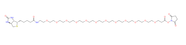 Biotin-PEG12-NHS ester