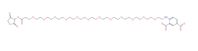 DNP-PEG12-NHS