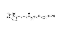  Biotin- PEG-oxyamine. HCl