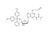 N2-iBu-O6-CE-DMT-dG