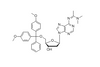 N6-dma-DMT-dA