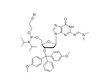 DMT-dG(dmf)-CE Reverse Phosphoramidite