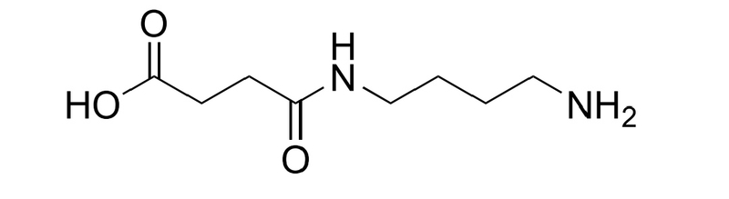 Butanoic acid, 4-[(4-aminobutyl)amino]-4-oxo-
