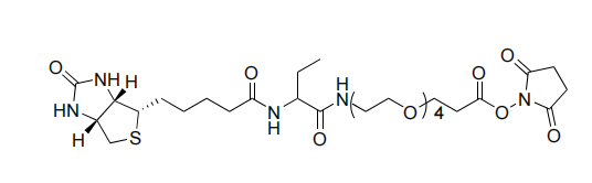  NHS- PEG-biotinidase resistant biotin