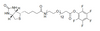 Biotin- PEG12-PFP ester