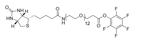 Biotin- PEG12-PFP ester