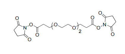 Bis- PEG13-NHS ester