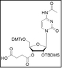 rC(Ac)-3'-succinate