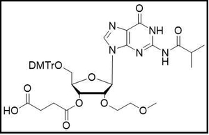 2'-MOE-G(ibu)-3'-succinate