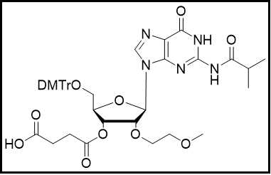 2'-MOE-G(ibu)-3'-succinate