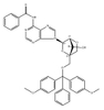 N6-Bz-DMT-2'-O-4'-C-Locked-Ar