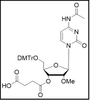 2'-OMe-C(Ac)-3'-succinate