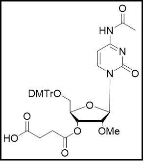 2'-OMe-C(Ac)-3'-succinate
