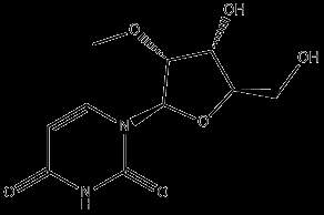 2'-OMe Uridine