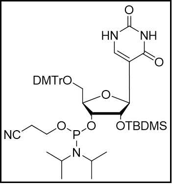 Pseudouridine CEP