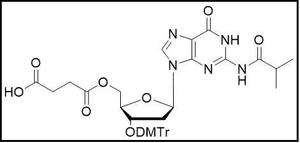 3'-ODMTr-2'-dG(ibu)-5'-succinate