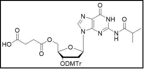 3'-ODMTr-2'-dG(ibu)-5'-succinate