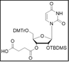 rU-3'-succinate