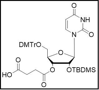 rU-3'-succinate