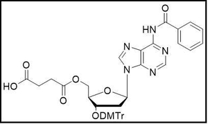 3'-ODMTr-2'-dA(Bz)-5'-succinate