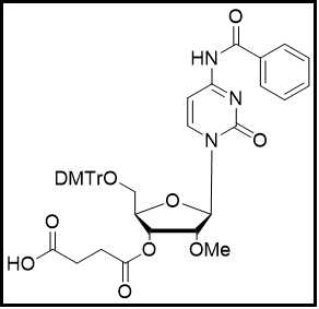 2'-OMe-C(Bz)-3'-succinate