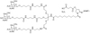 GalNAc-L96-Succinate