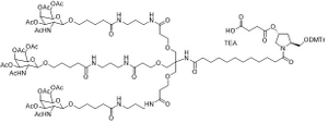 GalNAc-L96-Succinate