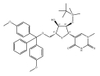 5'-DMT-2'-O-TBDMS-N1-Me-Pseudouridine