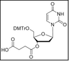 2'-dU-3'-succinate