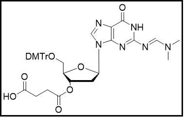 2'-dG(dmf)-3'-succinate
