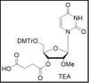2'-OMe-U-3'-succinate, TEA salt