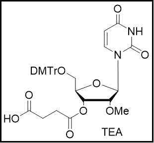 2'-OMe-U-3'-succinate, TEA salt