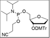 Reverse Abasic Phosphoramidite