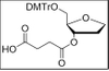 Abasic Succinate