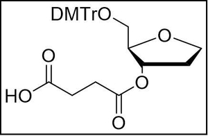 Abasic Succinate