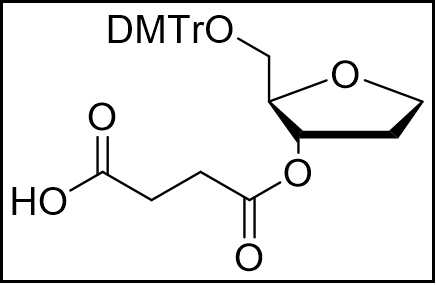 Abasic Succinate