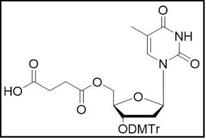 3'-ODMTr-2'-dT-5'-succinate