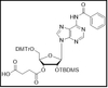 rA(Bz)-3'-succinate