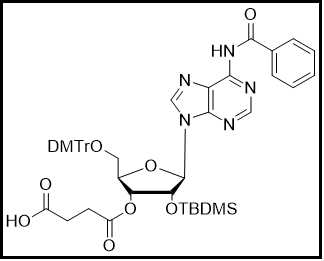 rA(Bz)-3'-succinate